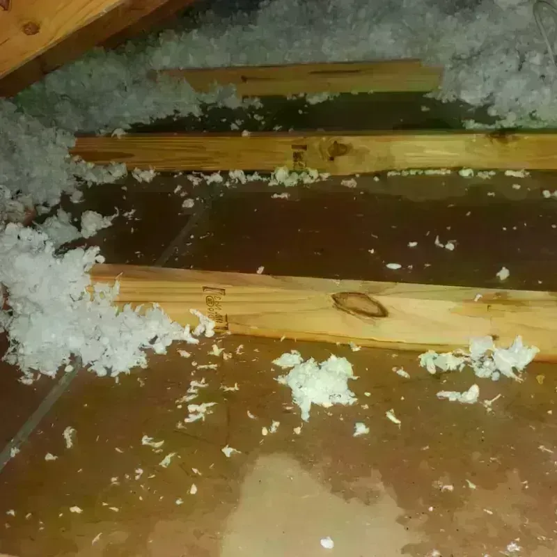 Attic Water Damage in Highland, WA