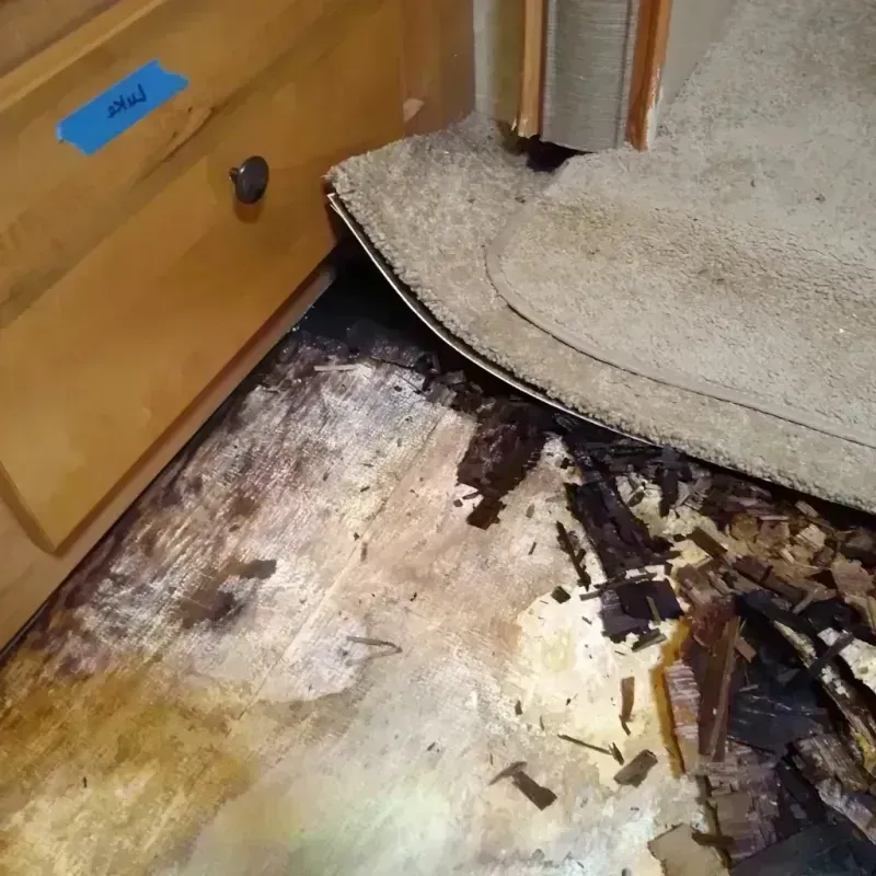 Wood Floor Water Damage in Highland, WA